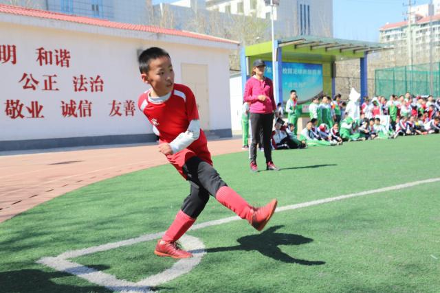 媒体调侃诺维茨基投掷棒球：你还是跳投比较帅